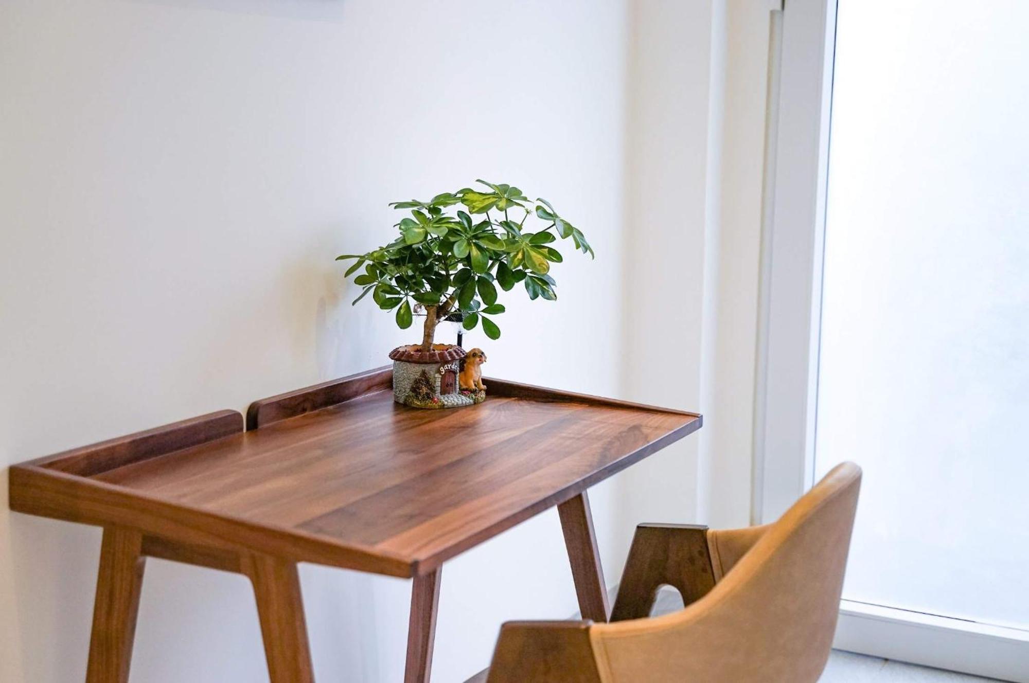 Local White House - Ecofriendly Homestay Da Nang Dış mekan fotoğraf