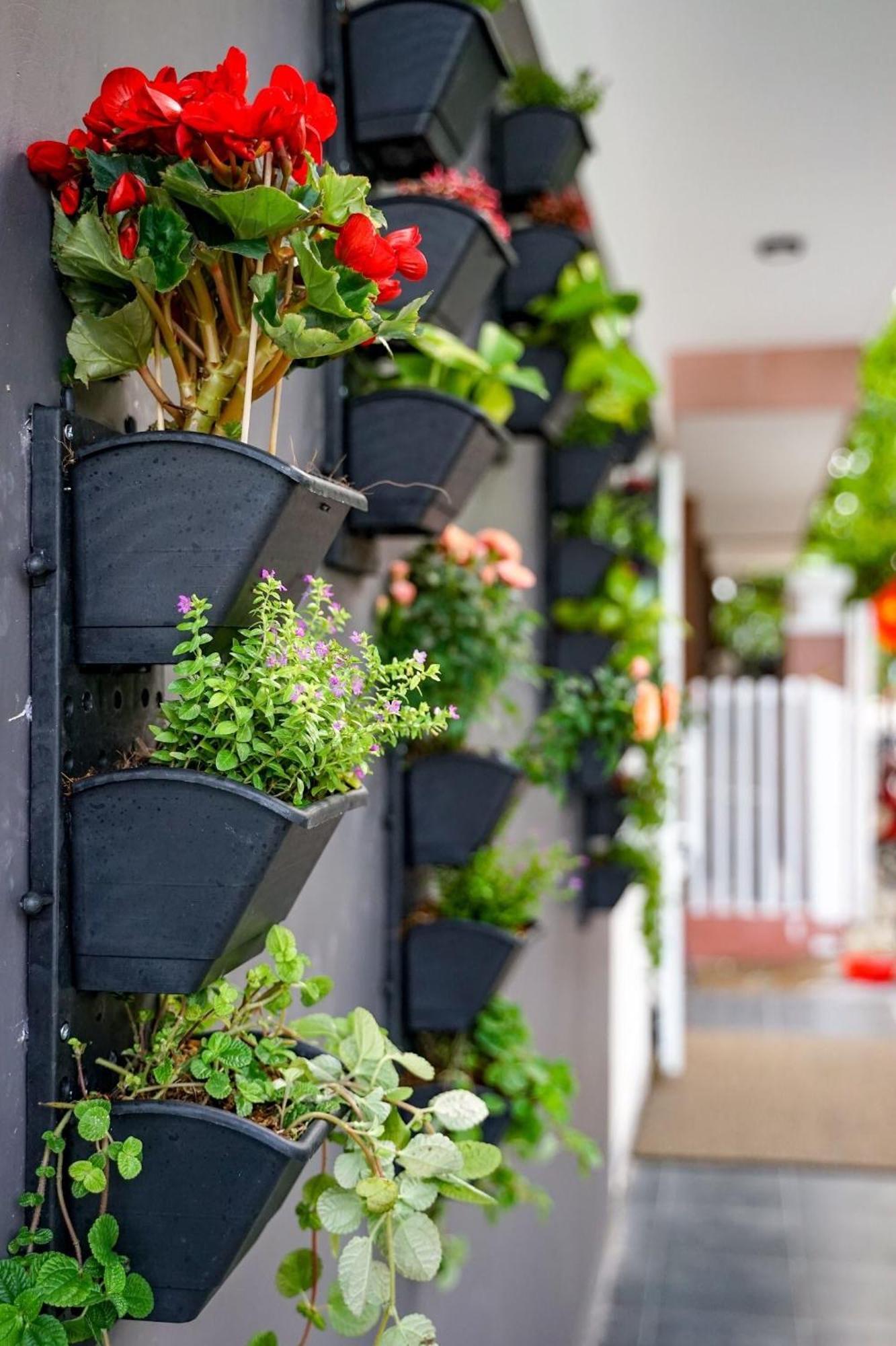 Local White House - Ecofriendly Homestay Da Nang Dış mekan fotoğraf