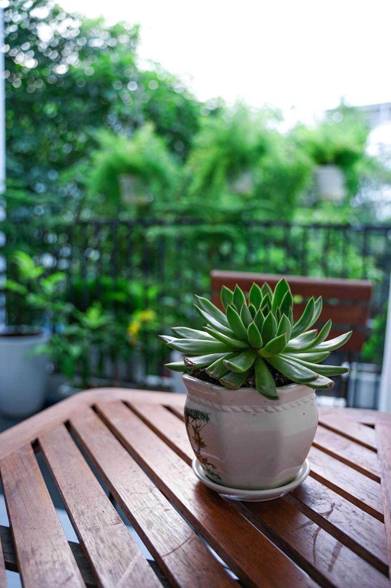 Local White House - Ecofriendly Homestay Da Nang Dış mekan fotoğraf