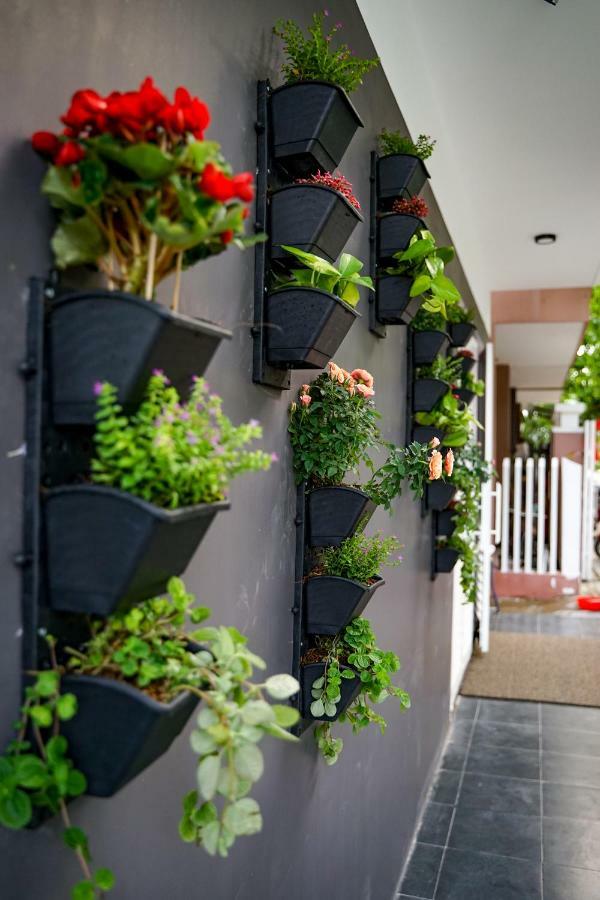 Local White House - Ecofriendly Homestay Da Nang Dış mekan fotoğraf